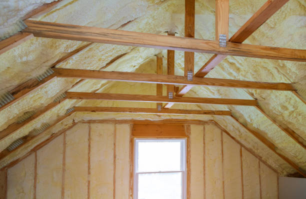 Best Local Insulation Services  in Carter, TX