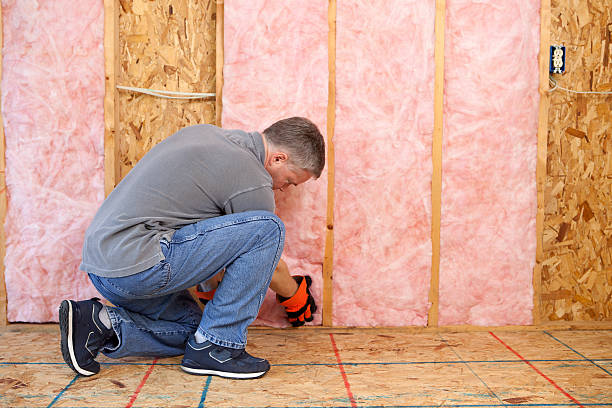 Best Insulation Removal  in Carter, TX