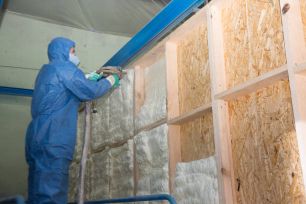 Best Insulation for New Construction  in Carter, TX